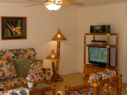 Living room HDTV